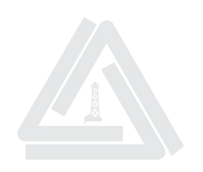 Paragon Icon Logo